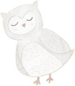 A coruja